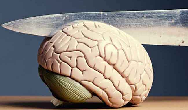 3 Facts that make us understand each other better